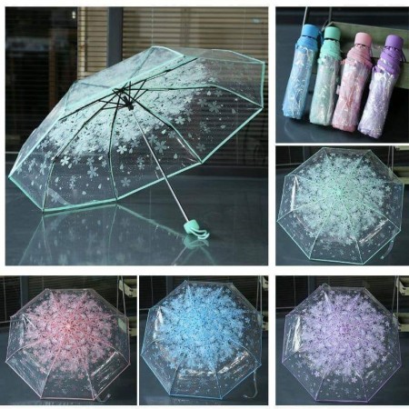Transparent Umbrella